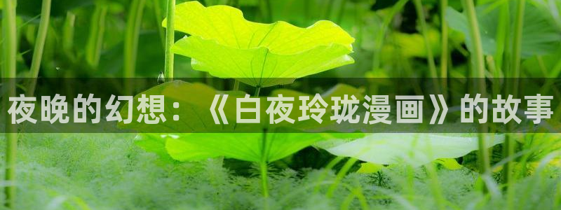 漫蛙2官网链接：夜晚的幻想：《白夜玲珑漫画》的故事