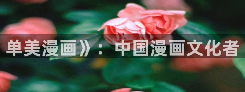 漫蛙正版下载网址：单美漫画》：中国漫画文化者