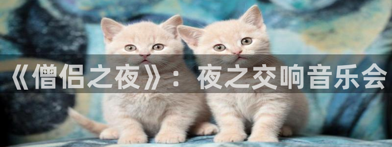 漫蛙密室逃脱：《僧侣之夜》：夜之交响音乐会